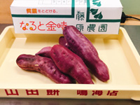 ピックアップ写真